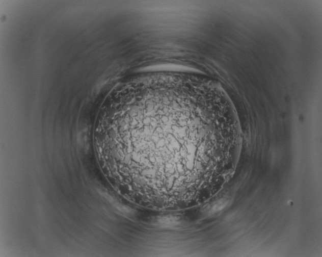 X0000068770462200605011031