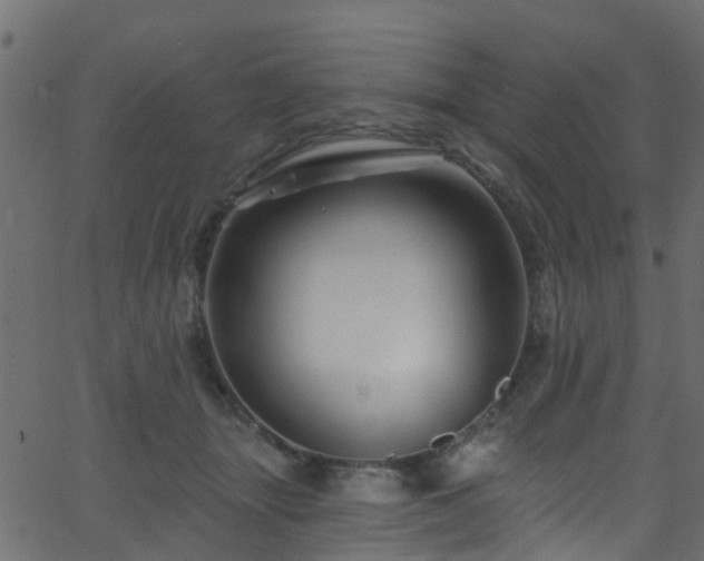 X0000068770463200605011031