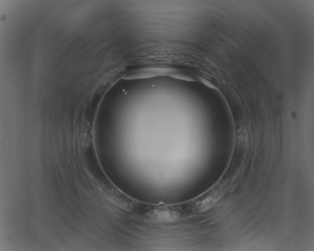 X0000068770464200605011031