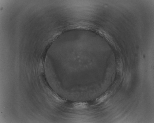 X0000068770465200605011031