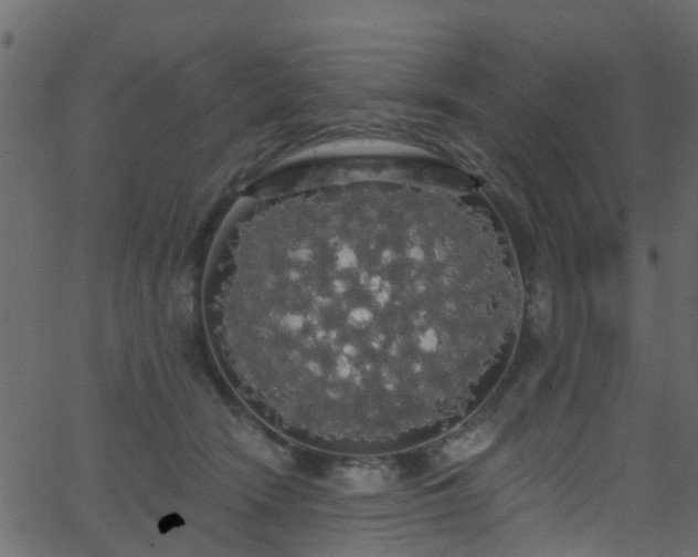 X0000068770466200605011031