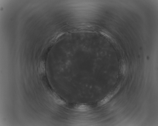 X0000068770467200605011031