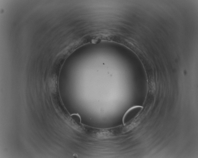 X0000068770468200605011031