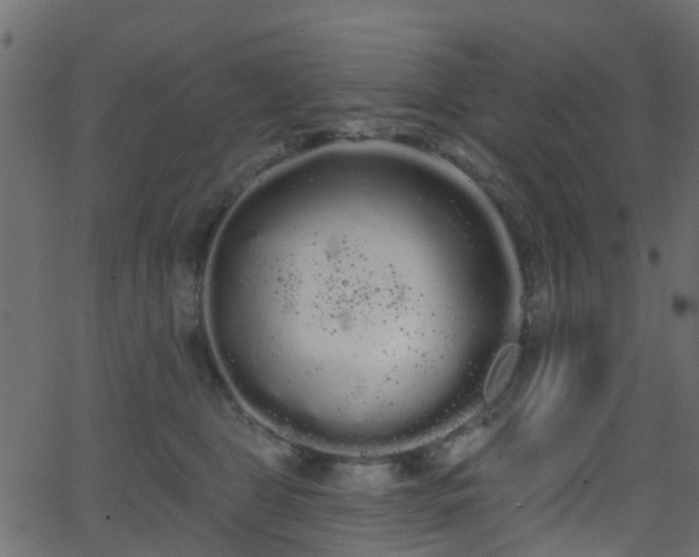 X0000068770469200605011031