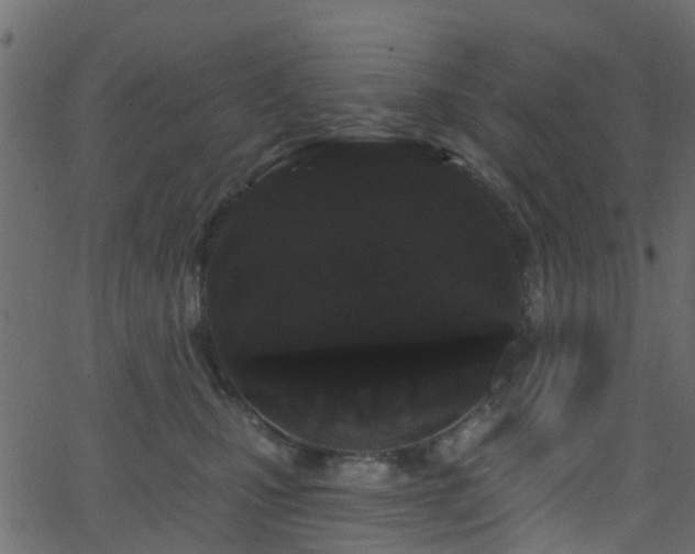 X0000068770471200605011031