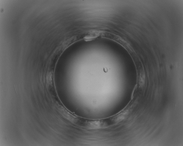 X0000068770473200605011031