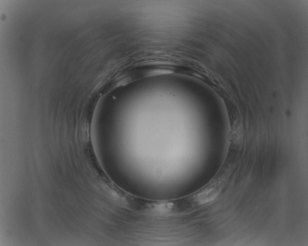 X0000068770474200605011031