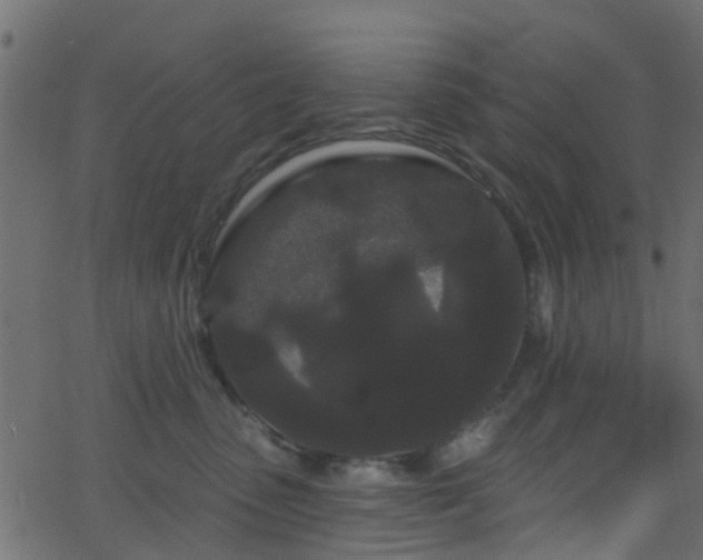 X0000068770475200605011031