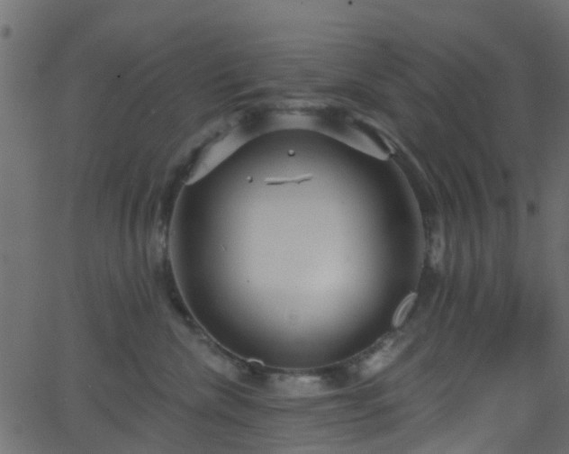 X0000068770476200605011031