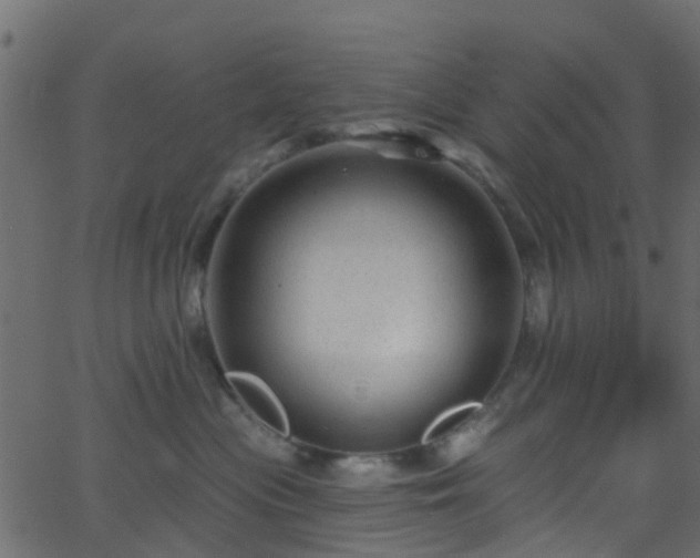 X0000068770477200605011031