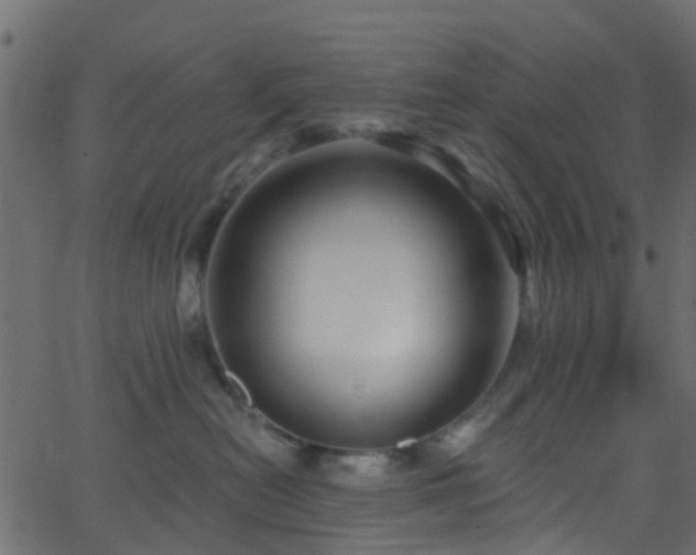 X0000068770478200605011031