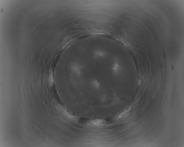 X0000068770479200605011031