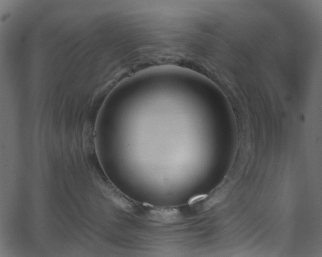 X0000068770480200605011032