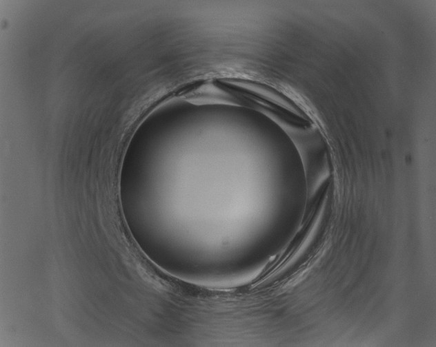 X0000068770481200605011031