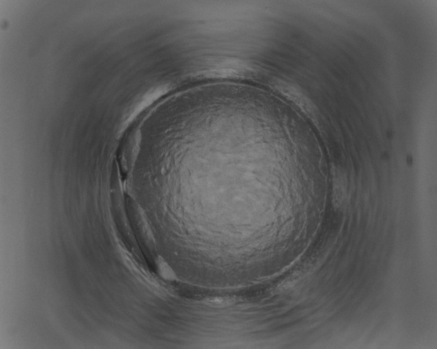 X0000068770482200605011031