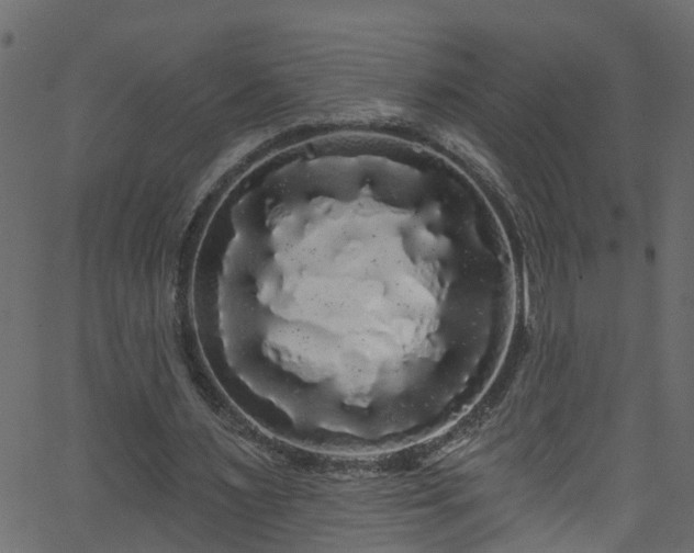 X0000068770483200605011031