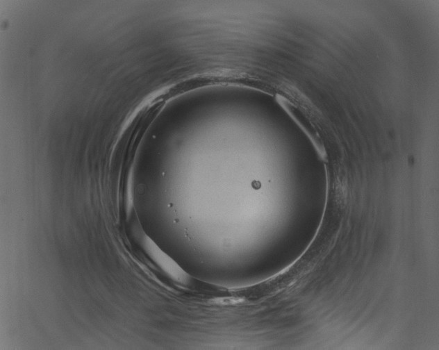 X0000068770484200605011031