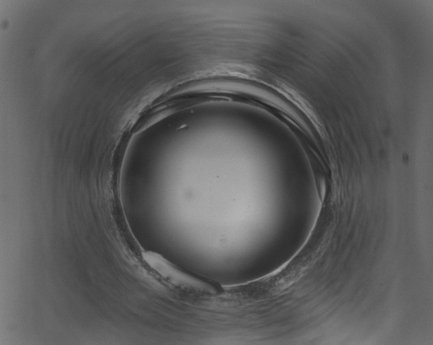 X0000068770485200605011031