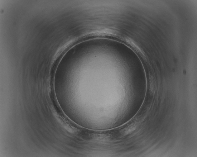 X0000068770486200605011031