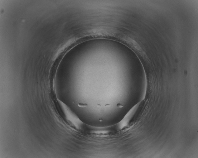 X0000068770488200605011031