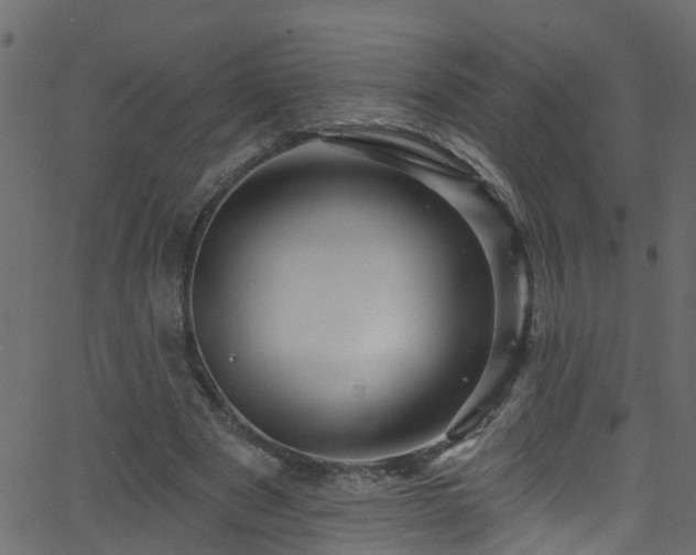 X0000068770489200605011031