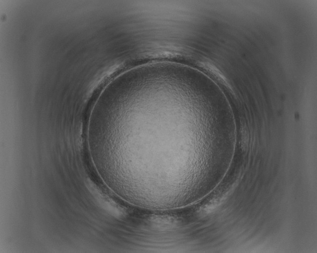 X0000068770490200605011031