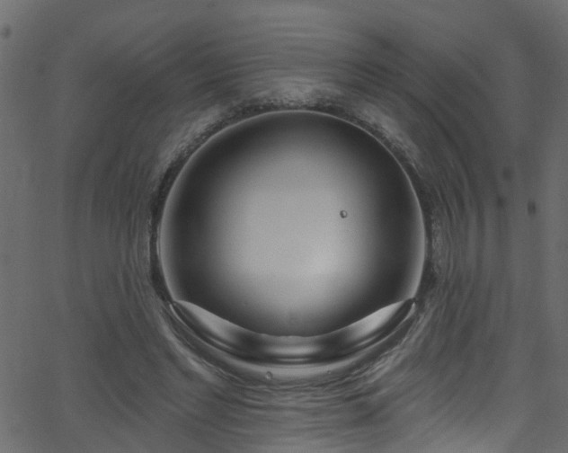 X0000068770493200605011031