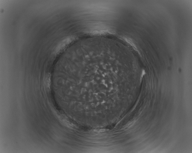 X0000068770495200605011031