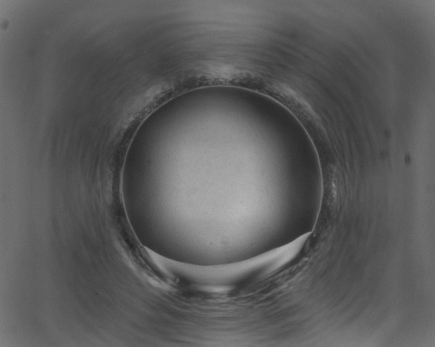 X0000068770496200605011030