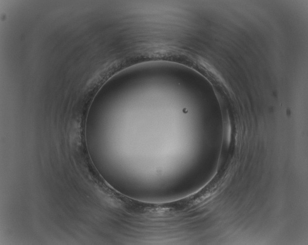 X0000068770497200605011030