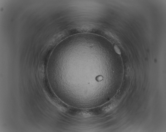 X0000068770498200605011030