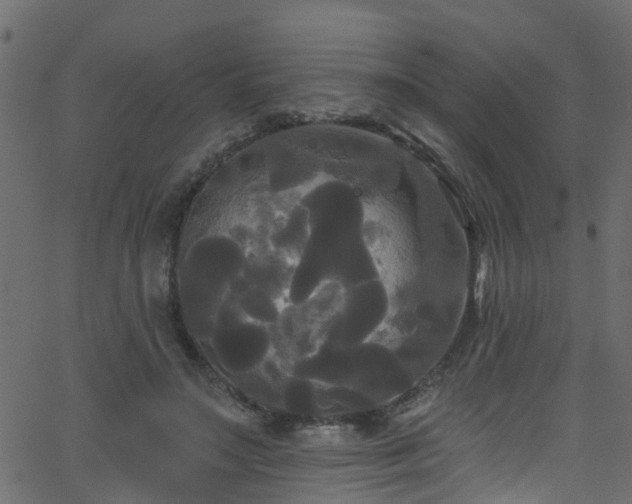 X0000068770499200605011030