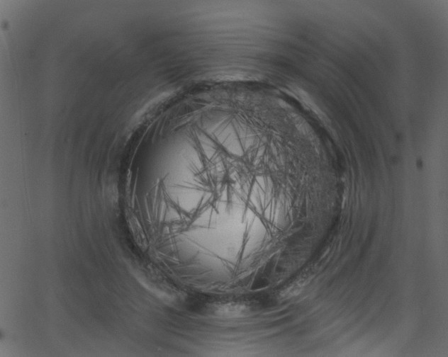 X0000068770500200605011030