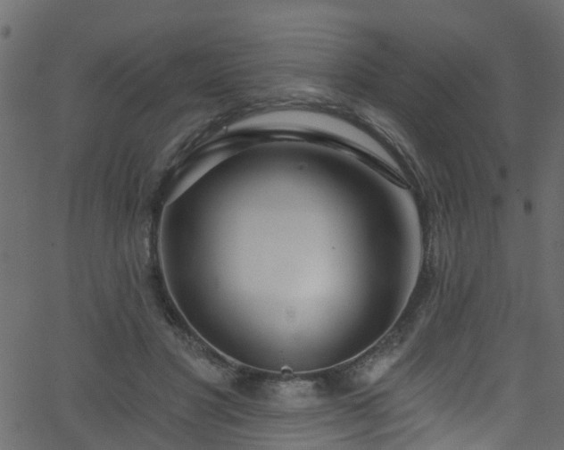 X0000068770501200605011030