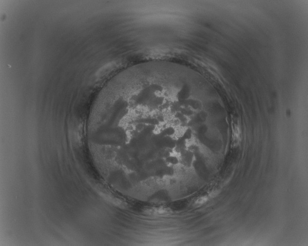 X0000068770503200605011030