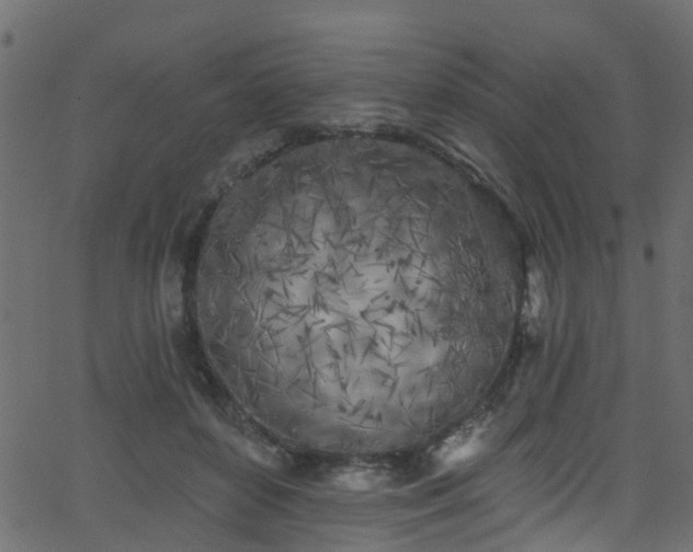 X0000068770504200605011030