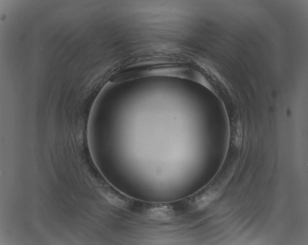 X0000068770505200605011030