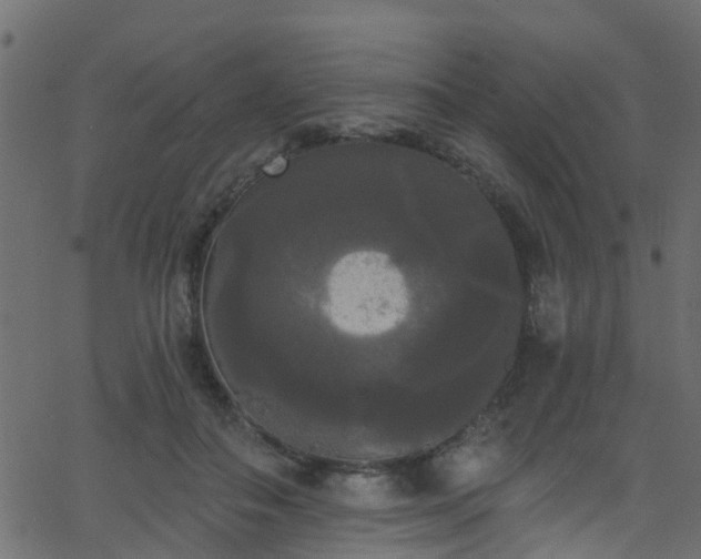 X0000068770506200605011030