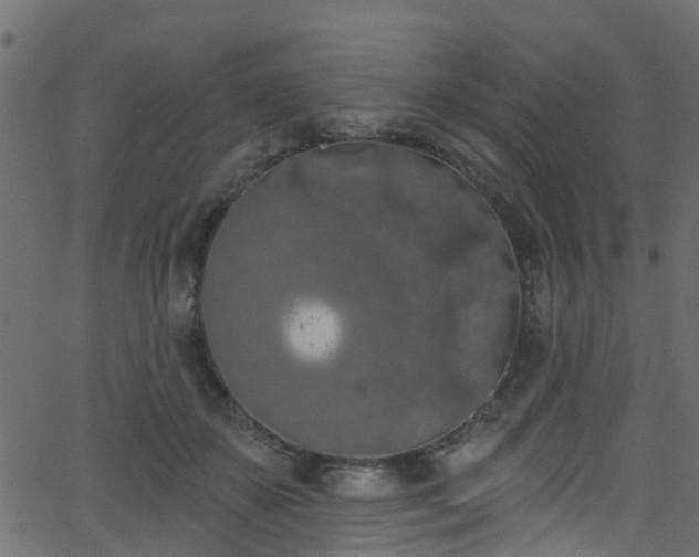 X0000068770507200605011030