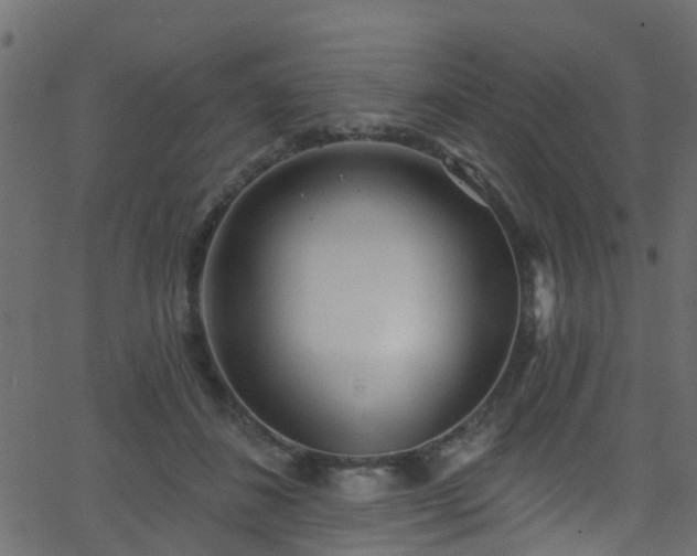 X0000068770508200605011030