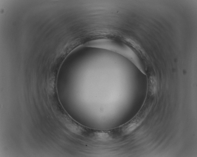 X0000068770509200605011030