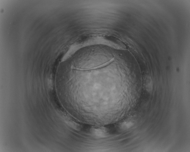 X0000068770510200605011030