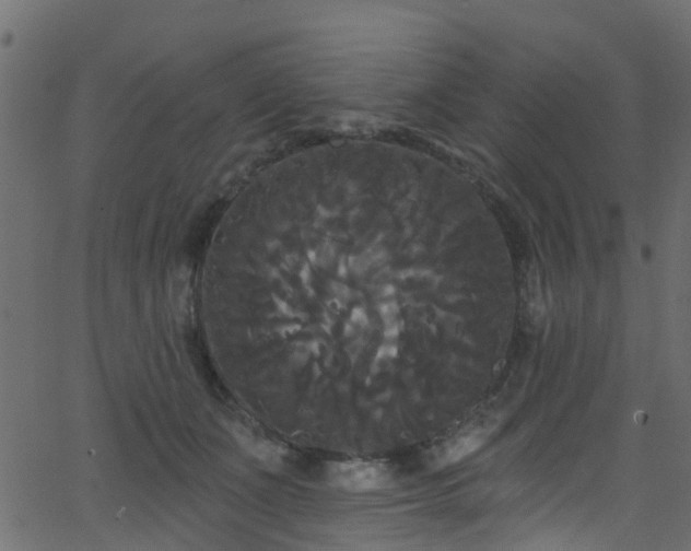 X0000068770511200605011030