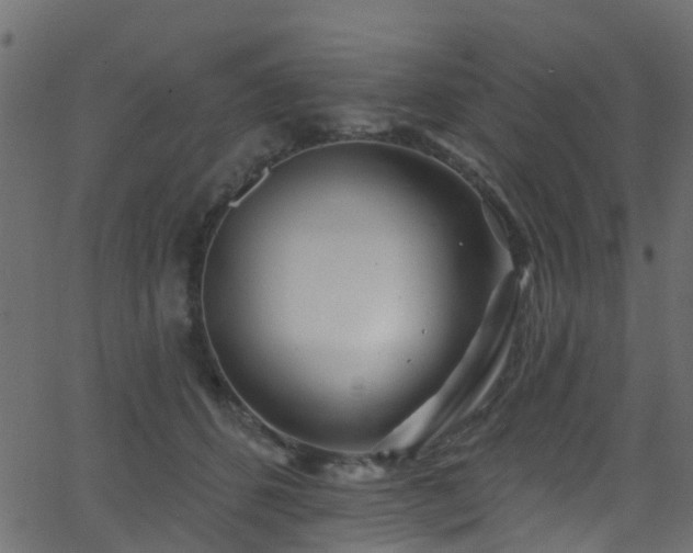 X0000068770512200605011030