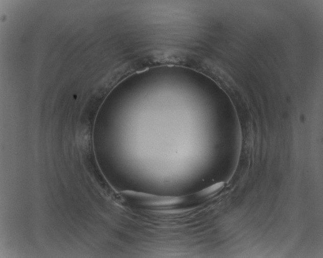 X0000068770513200605011030