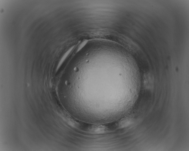 X0000068770514200605011030