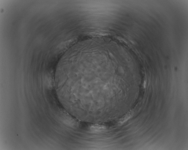 X0000068770515200605011030