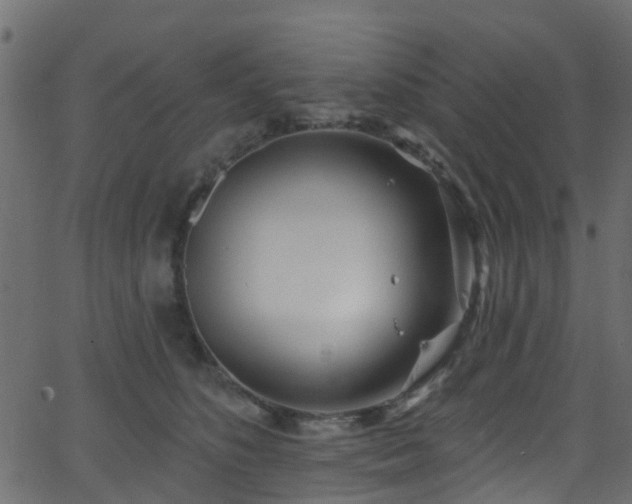 X0000068770516200605011030