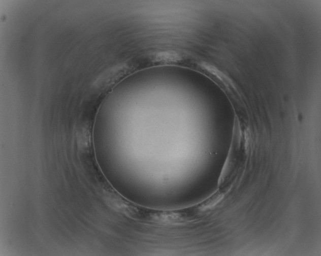 X0000068770517200605011030