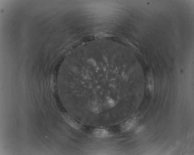 X0000068770519200605011030